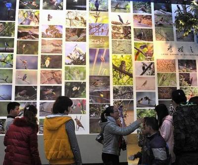 工廠礦山也能變景區(qū)？國家工業(yè)遺產(chǎn)旅游基地名單出爐 市場營銷策劃篇